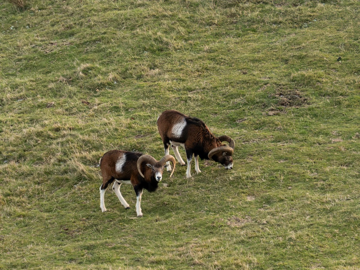 01122025-01 12 25 (8).jpg